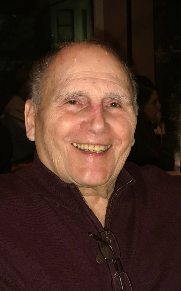 Pellegrino Donald Troisi Obituary, Boonton, NJ